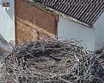 Capi_Dubne_20260912_161503.jpg