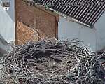 Capi_Dubne_20260912_162003.jpg