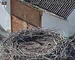 Capi_Dubne_20260912_162503.jpg