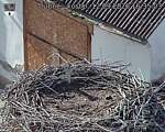 Capi_Dubne_20260912_163503.jpg