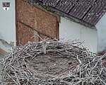 Capi_Dubne_20260912_172503.jpg