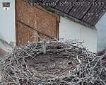 Capi_Dubne_20260912_173503.jpg