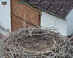 Capi_Dubne_20260912_180503.jpg