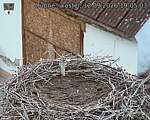 Capi_Dubne_20260912_190503.jpg