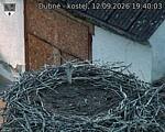 Capi_Dubne_20260912_194003.jpg