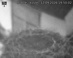 Capi_Dubne_20260912_195002.jpg