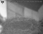 Capi_Dubne_20260912_195502.jpg