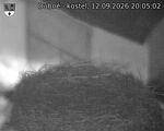 Capi_Dubne_20260912_200502.jpg