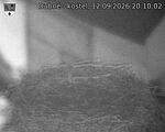 Capi_Dubne_20260912_201002.jpg