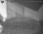 Capi_Dubne_20260912_215002.jpg