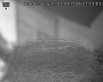 Capi_Dubne_20260912_215503.jpg