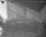 Capi_Dubne_20260912_223003.jpg