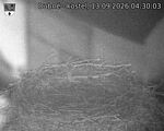 Capi_Dubne_20260913_043003.jpg