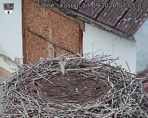 preload