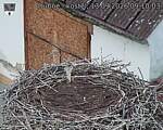 Capi_Dubne_20260913_091003.jpg