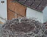 Capi_Dubne_20260913_091503.jpg
