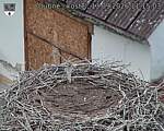 Capi_Dubne_20260913_111503.jpg