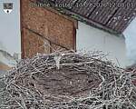 Capi_Dubne_20260913_120003.jpg