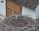 Capi_Dubne_20260913_121503.jpg