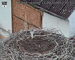 Capi_Dubne_20260913_124003.jpg