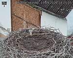 Capi_Dubne_20260913_142505.jpg