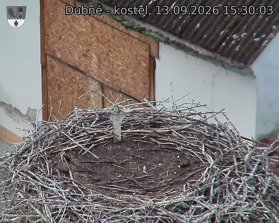 Capi_Dubne_20260913_153003.jpg (1350&nbsp;x&nbsp;1080)