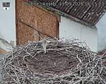 Capi_Dubne_20260913_161503.jpg