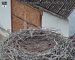 Capi_Dubne_20260913_163503.jpg