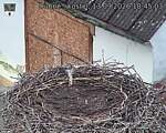 Capi_Dubne_20260913_184503.jpg