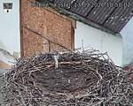 Capi_Dubne_20260913_185002.jpg