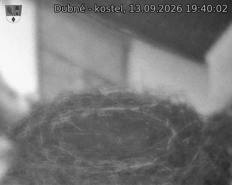 Capi_Dubne_20260913_194002.jpg (1350&nbsp;x&nbsp;1080)