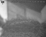 Capi_Dubne_20260913_195002.jpg
