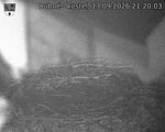 Capi_Dubne_20260913_212003.jpg