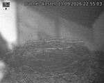Capi_Dubne_20260913_225503.jpg