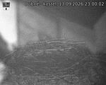 Capi_Dubne_20260913_230002.jpg