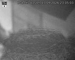 Capi_Dubne_20260913_230503.jpg
