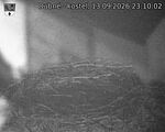 Capi_Dubne_20260913_231002.jpg