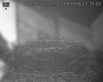 Capi_Dubne_20260913_233502.jpg