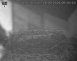 Capi_Dubne_20260914_000003.jpg