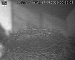 Capi_Dubne_20260914_003503.jpg
