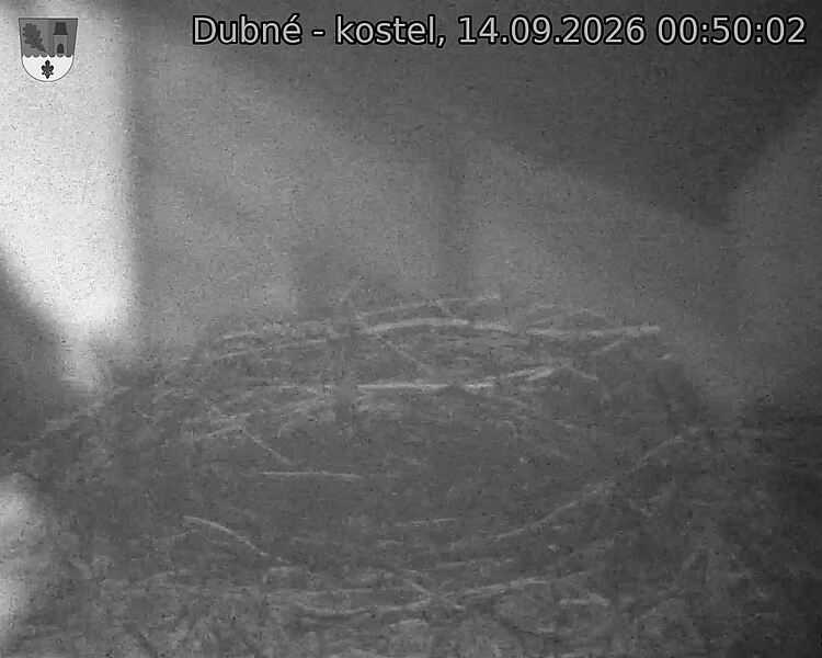 preload