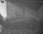 Capi_Dubne_20260914_012002.jpg