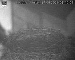Capi_Dubne_20260914_014002.jpg