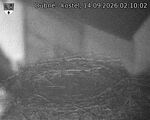 Capi_Dubne_20260914_021002.jpg