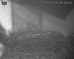 Capi_Dubne_20260914_040002.jpg
