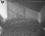 Capi_Dubne_20260914_044003.jpg