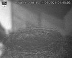 Capi_Dubne_20260914_044503.jpg