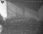 Capi_Dubne_20260914_051003.jpg