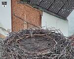 Capi_Dubne_20260914_065503.jpg