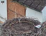 Capi_Dubne_20260914_073503.jpg